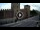 Webcam in Verona, 0.1 mi away