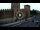 Webcam in Verona, 0.3 mi away