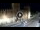 Webcam in Verona, 0.3 mi away
