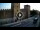 Webcam in Verona, 0.3 mi away