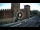 Webcam in Verona, 0.3 km entfernt