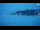 Webcam in Izola, 0.8 mi away