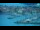 Webcam in Isola, 7.7 km