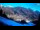 Webcam in Forni di Sopra, 40.6 km