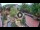 Webcam in Gatlinburg, Tennessee, 319.6 km