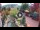 Webcam in Gatlinburg, Tennessee, 231.1 km entfernt