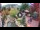 Webcam in Gatlinburg, Tennessee, 216.5 km entfernt
