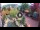 Webcam in Gatlinburg, Tennessee, 193.2 km entfernt