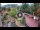 Webcam in Gatlinburg, Tennessee, 121.9 km