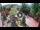 Webcam in Gatlinburg, Tennessee, 45.6 mi away
