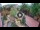 Webcam in Gatlinburg, Tennessee, 311.6 km entfernt