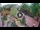 Webcam in Gatlinburg, Tennessee, 316 km entfernt