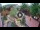 Webcam in Gatlinburg, Tennessee, 122.9 km entfernt