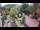 Webcam in Gatlinburg, Tennessee, 114.1 mi away