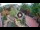 Webcam in Gatlinburg, Tennessee, 196.4 km entfernt