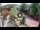Webcam in Gatlinburg, Tennessee, 197.8 km entfernt