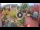 Webcam in Gatlinburg, Tennessee, 306.9 km