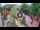 Webcam in Gatlinburg, Tennessee, 48 mi away