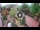 Webcam in Gatlinburg, Tennessee, 101.3 mi away