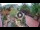 Webcam in Gatlinburg, Tennessee, 113.8 mi away