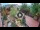 Webcam in Gatlinburg, Tennessee, 113.5 mi away