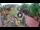 Webcam in Gatlinburg, Tennessee, 0.7 km entfernt