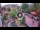 Webcam in Gatlinburg, Tennessee, 224.8 km