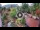Webcam in Gatlinburg, Tennessee, 47 mi away