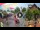 Webcam in Gatlinburg, Tennessee, 232 km entfernt