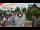 Webcam in Gatlinburg, Tennessee, 254.5 km