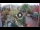 Webcam in Gatlinburg, Tennessee, 262.5 km