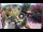 Webcam in Gatlinburg, Tennessee, 122.3 km