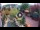 Webcam in Gatlinburg, Tennessee, 175.7 km
