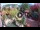 Webcam in Gatlinburg, Tennessee, 143.7 km
