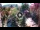 Webcam in Gatlinburg, Tennessee, 294.6 km entfernt