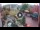 Webcam in Gatlinburg, Tennessee, 255.5 km