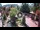 Webcam in Gatlinburg, Tennessee, 297.8 km entfernt