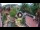 Webcam in Gatlinburg, Tennessee, 0.7 km