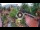Webcam in Gatlinburg, Tennessee, 243.1 km