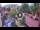 Webcam in Gatlinburg, Tennessee, 17.8 mi away