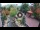 Webcam in Gatlinburg, Tennessee, 114.8 mi away
