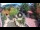 Webcam in Gatlinburg, Tennessee, 13 mi away