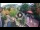 Webcam in Gatlinburg, Tennessee, 74.7 km