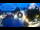 Webcam in Gatlinburg, Tennessee, 124.3 mi away