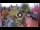 Webcam in Gatlinburg, Tennessee, 232 km