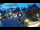 Webcam in Gatlinburg, Tennessee, 50.1 mi away