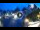 Webcam in Gatlinburg, Tennessee, 84.2 mi away