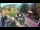 Webcam in Gatlinburg, Tennessee, 0.8 km