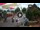 Webcam in Gatlinburg, Tennessee, 196.4 km entfernt