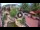 Webcam in Gatlinburg, Tennessee, 210.6 km